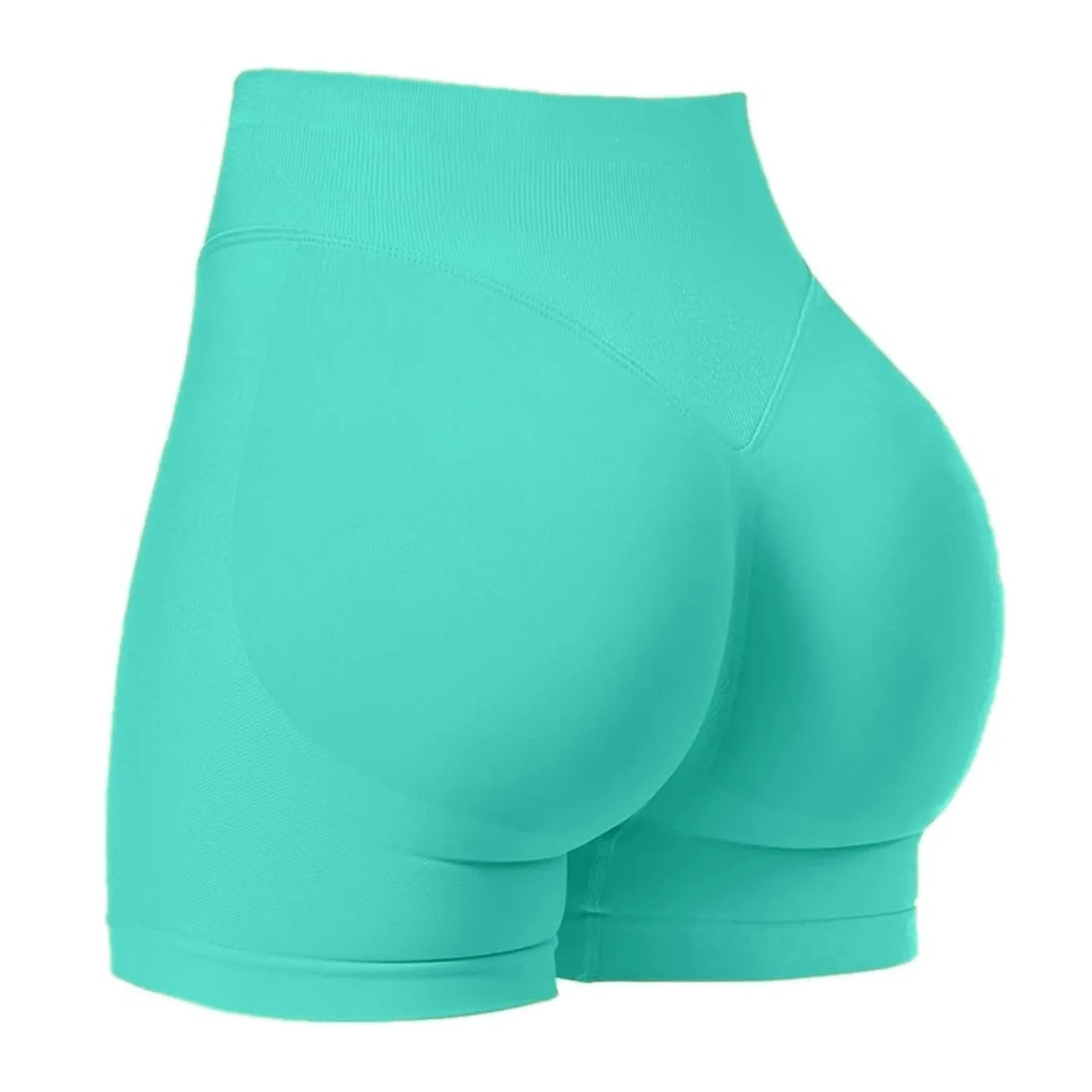Seamless High Stretch Shorts
