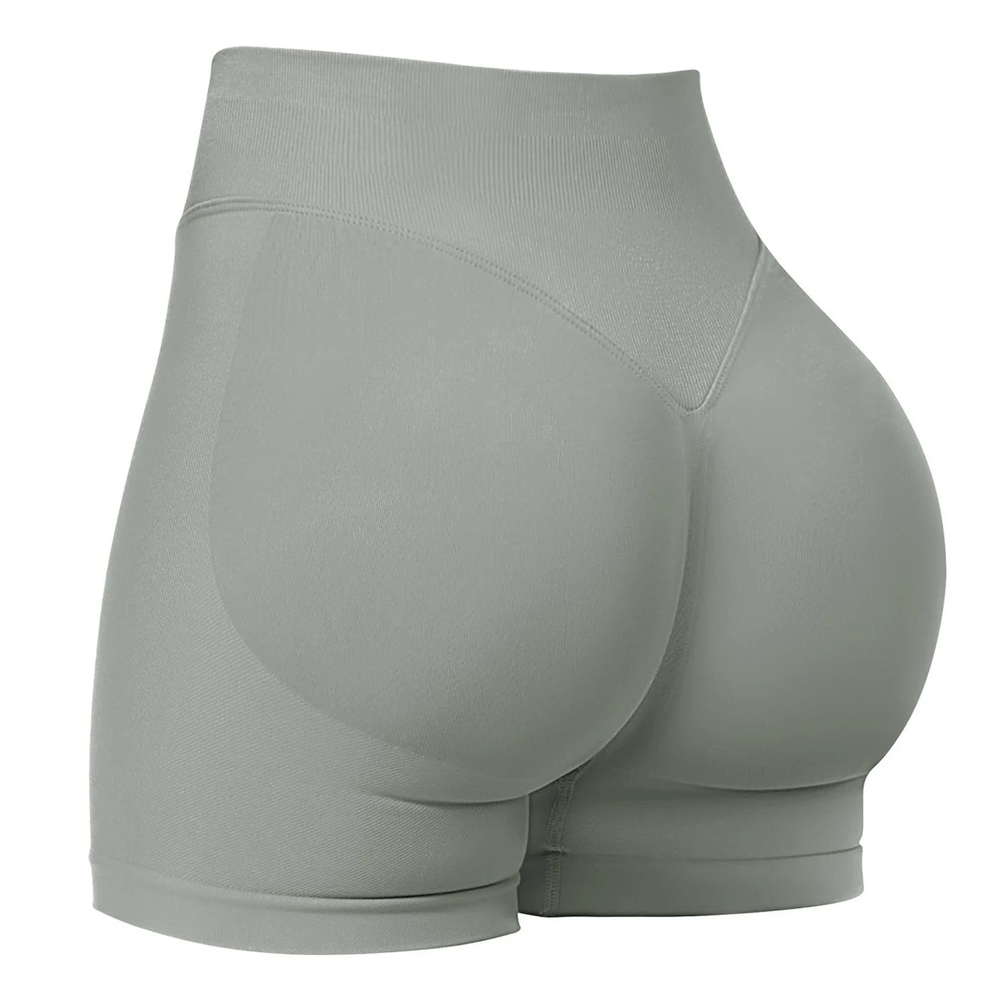 Seamless High Stretch Shorts